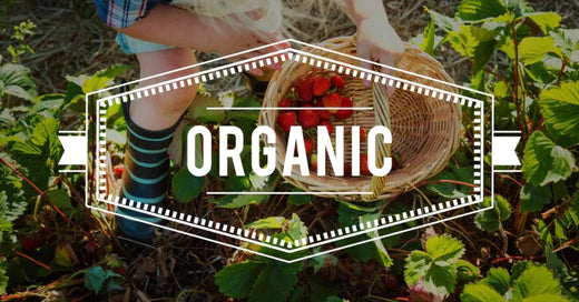 Organic Farming: Saving the Planet One Harvest at a Time!