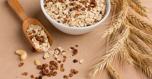 Why Organic Rolled Oats deserves a place at your breakfast table?