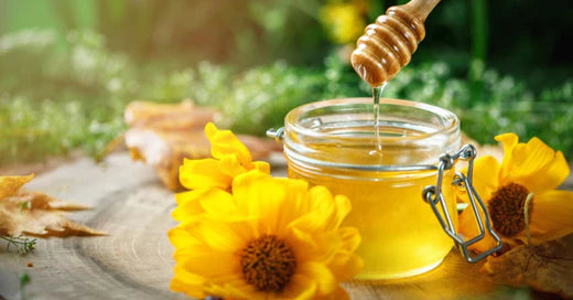What Makes Forest Honey Different from Regular Honey?