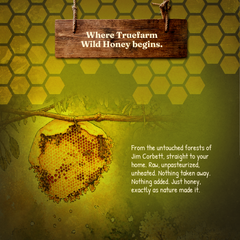 Wild Honey (500g)