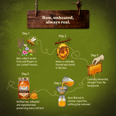 Wild Honey (500g)